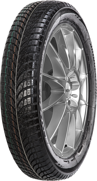 Bridgestone Blizzak LM-500