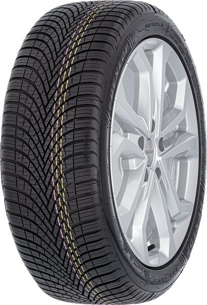 Dunlop All Season 2 205/55 R16 91 V