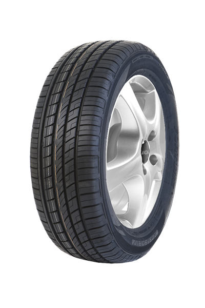 Fortune FSR303 225/60 R18 100 V