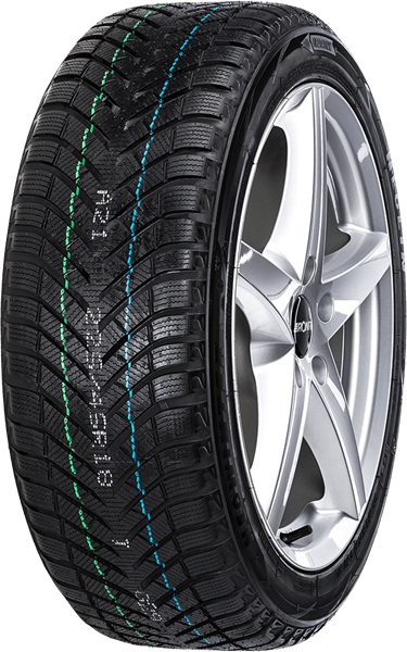 Neolin NeoWinter 225/55 R16 99 H XL