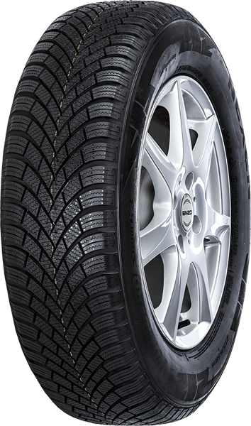 Nexen Winguard SnowG 3 WH21 205/55 R16 91 H