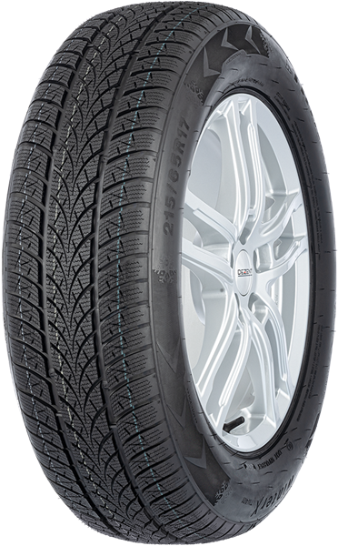 Triangle Winter X TW401 195/60 R16 89 H