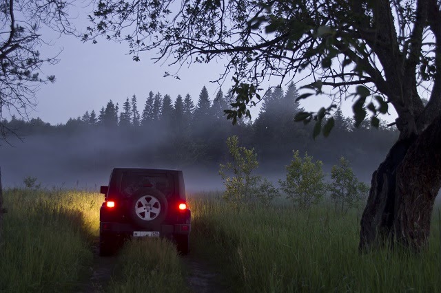 Jeep Wrangler on a forest road