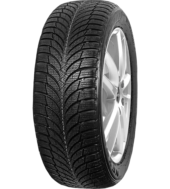 Nexen Winguard Snow'G WH2 205/55 R16 91 H