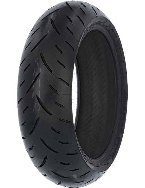 Dunlop Sportmax GPR-300 160/60 R17 69 H Rear TL