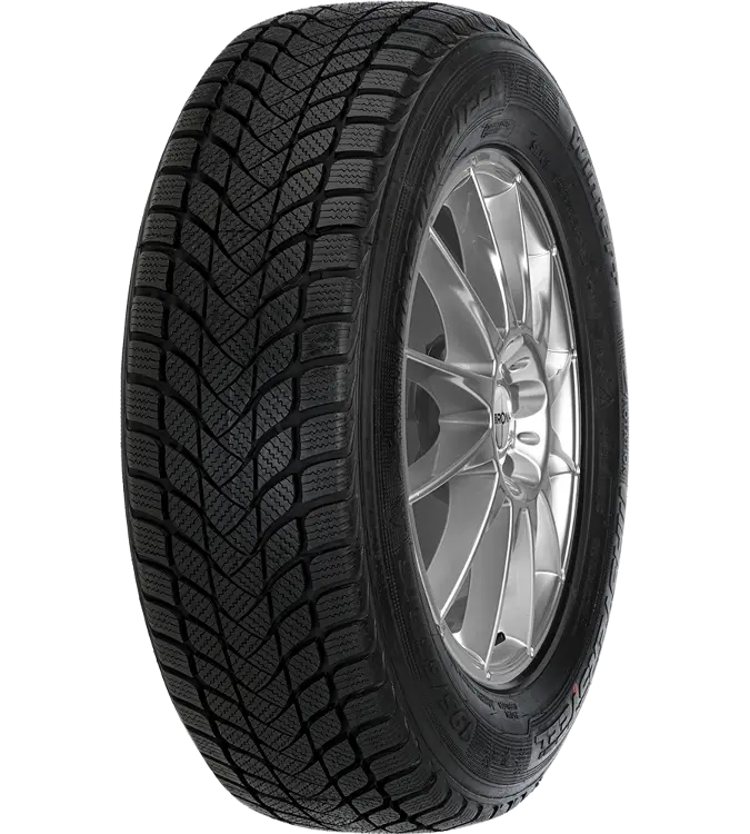 Mastersteel WINTER + W1 225/55 R17 97 H