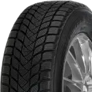 Mastersteel WINTER + W1 225/55 R17 97 H - Photo thumbnail 3
